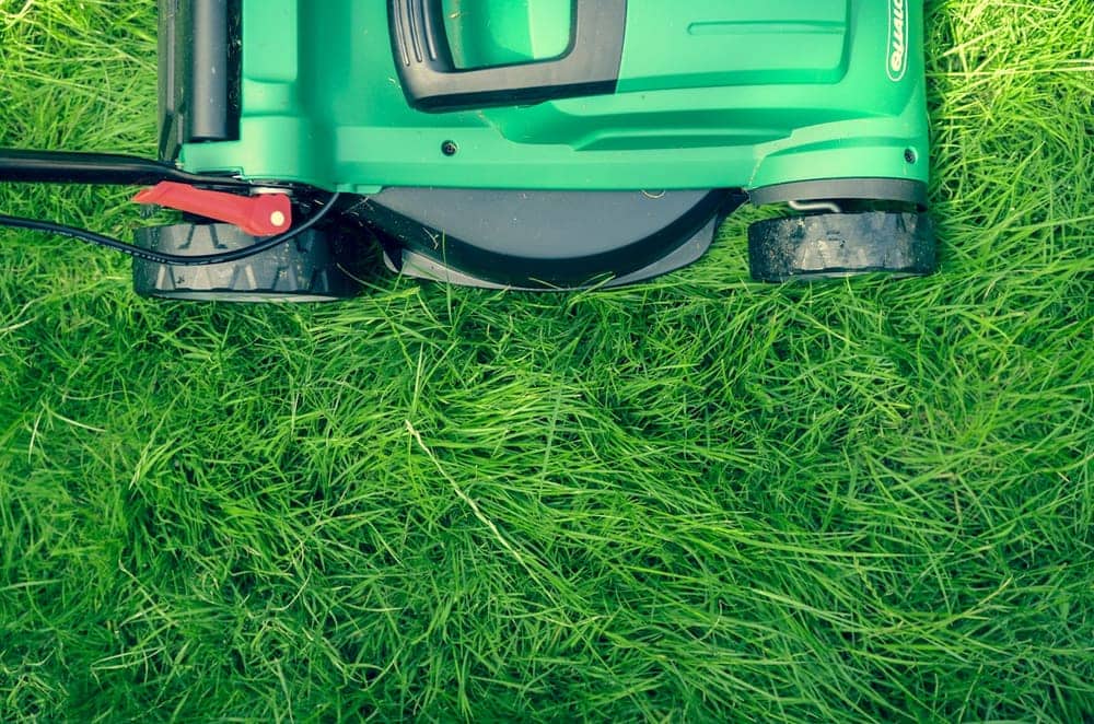 Mower cutting a clean stripe across a green lawn